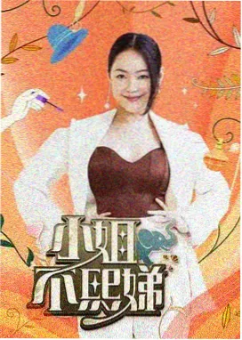 岚的综艺大冒险 日本综艺节目